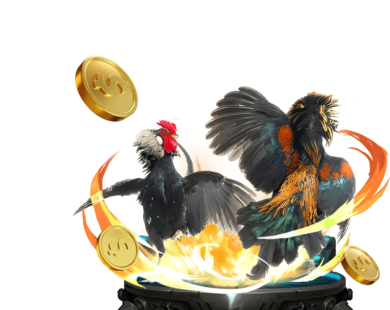 Cập nhật giải đấu Poker mới nhất