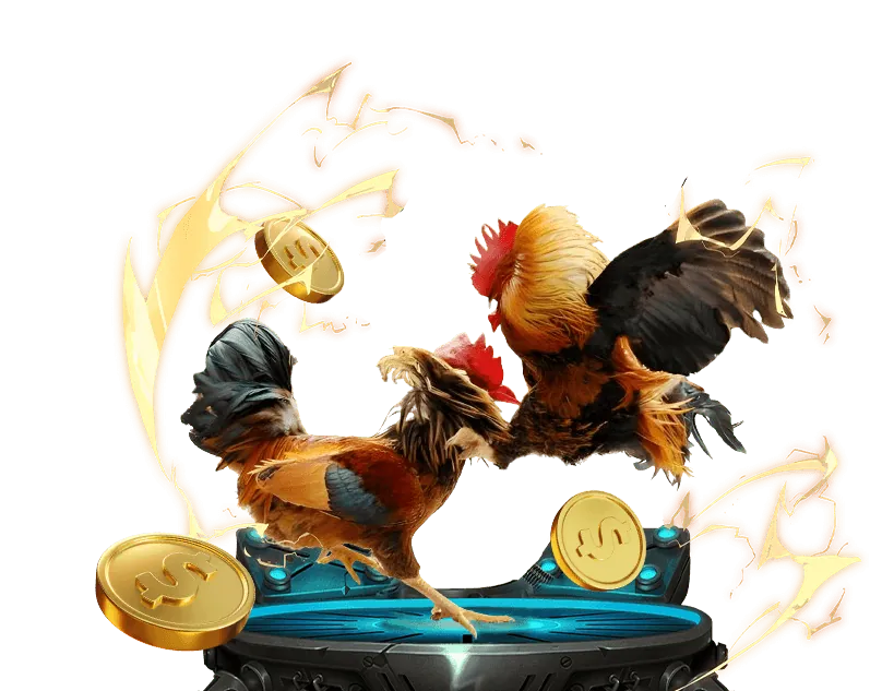 Hướng dẫn chơi Poker cho người mới bắt đầu